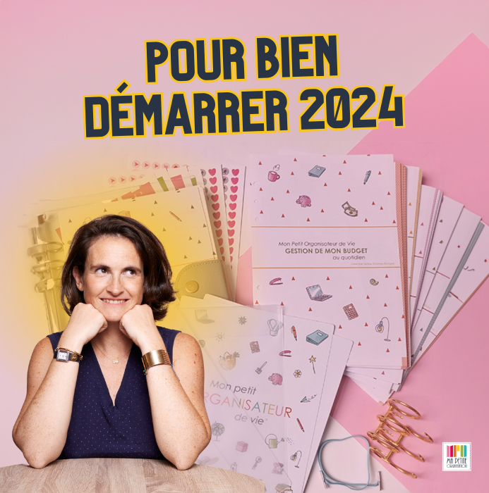 Budget Planner français: gestion de compte sur 12 mois | agenda mensuel non  daté ultra simple pour bien gérer son budget | cahier suivi annuel des
