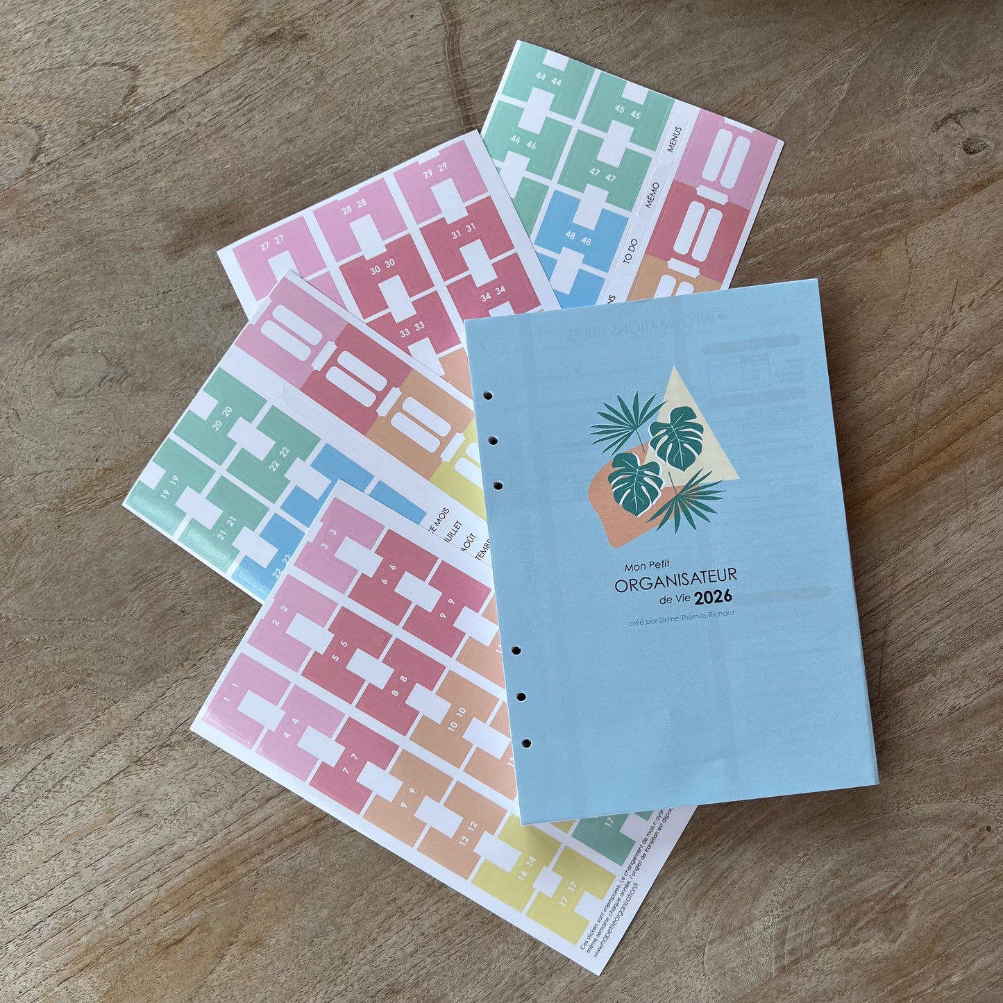 Agenda Mon Petit Organisateur de Vie - 2026